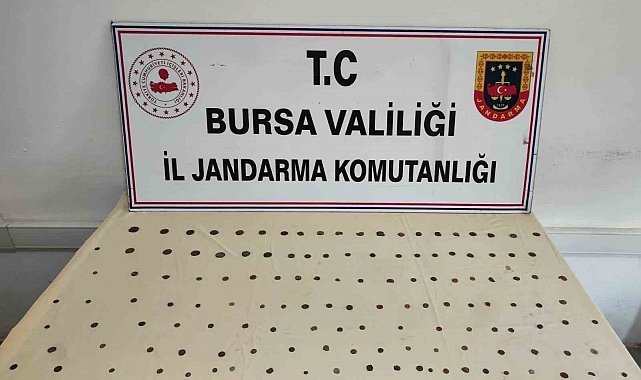 Bursa'da tarihi eser operasyonu: 137 adet sikke ele geçirildi