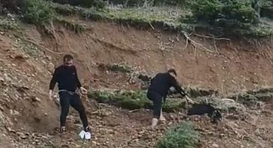 Çamura saplanan keçi son anda kurtarıldı