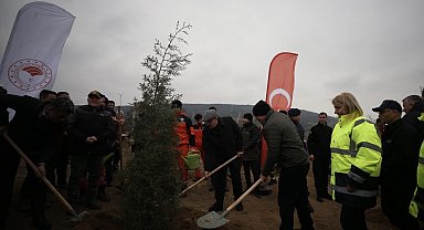 Çanakkale'de Dünya Ormancılık Günü'nde 5 bin fidan toprakla buluştu
