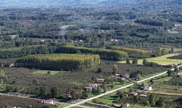 Çarşamba Ovası meyvede zirvede