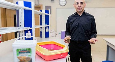 Ceviz kabuğundan kedi kumu üretti