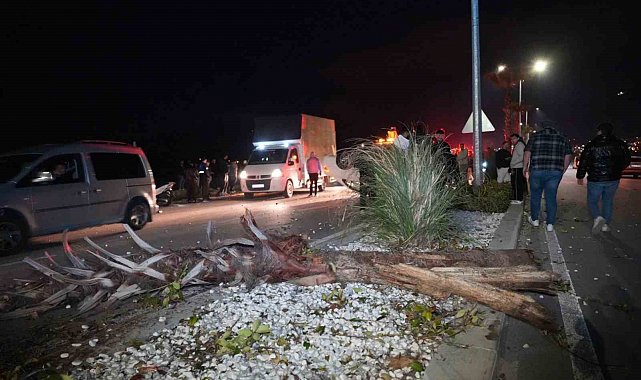 Çevre yolunda yarış yapan lüks araç hakimiyetini kaybetmesi sonucu önce refüjdeki ağaca ardından karşı şeride geçerek takla attı