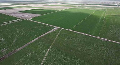 Çiftçilere hububata hastalık gelmeden erken müdahale uyarısı
