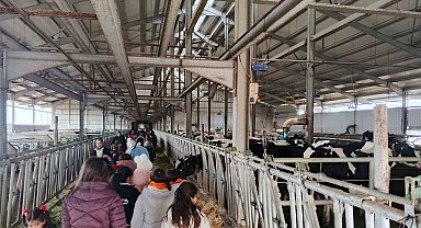 Çocuklar, tarımsal üretimi yerinde inceledi