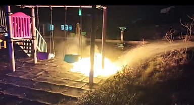 Çocukların yaktığı ateş parkı alev topuna çevirdi