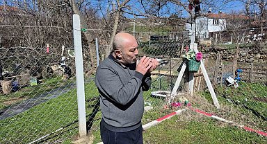 Çocukluğundan bu yana güvercin tutkunu olan adam: "Bir ev parasına kuş veren var"