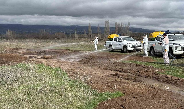 Çorum Belediyesi'nden yaz öncesi vektörle mücadele