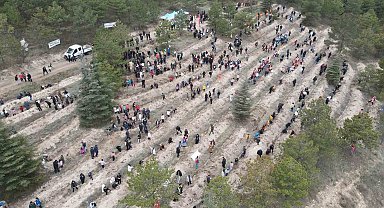 Çorum'da yüzlerce fidan toprakla buluştu