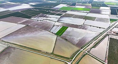 Çukurova'yı yağmur vurdu: Tarım arazileri sular altında