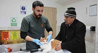 Cumhuriyet tarihinin ilk fakültesine ait hastanede, bir yılda 9 bin 600 hayvan şifa buldu