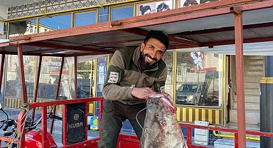 Çüngüş'te 100 kiloluk turna balığı yakalandı