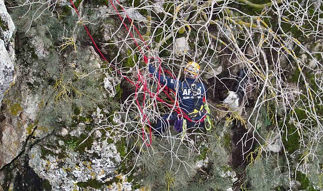 Dağda mahsur kalan keçi kurtarıldı