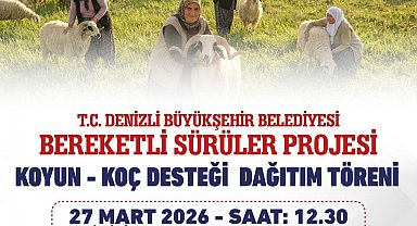 Denizli Büyükşehir 582 üreticiye 1200 adet koyun ve koç dağıtacak