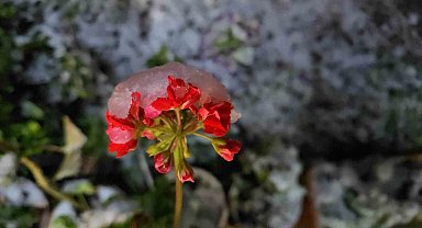 Denizli'ye baharda yağan lapa lapa kar araçları yolda bıraktı
