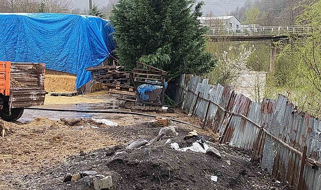 Dereye hayvansal atık bırakan çiftlikler yakalandı