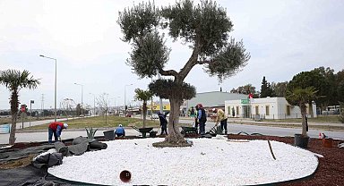 Didim Belediyesi, Didim'e çıkan yolları güzelleştirdi