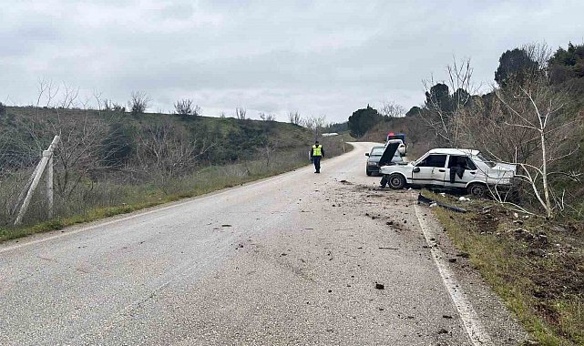 Direksiyon hakimiyetini kaybeden sürücü ağaca çarptı: 1 yaralı