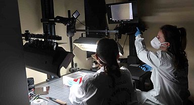 Diyarbakır Emniyeti'nin bu birimindeki kadınlar detaycılıklarıyla olayları aydınlatıyor