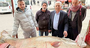 Diyarbakır'da 120 kiloluk turna balığı görenleri hayrete düşürdü