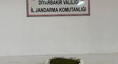 Diyarbakır'da 23 kilo esrar ele geçirildi
