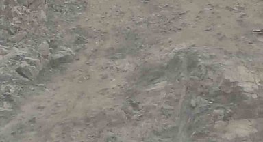 Diyarbakır'da nesli tükenme tehlikesi altında bulunan dağ keçileri sürü halinde görüntülendi