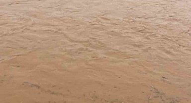 Diyarbakır'da sağanak nedeni ile onlarca koyun telef oldu