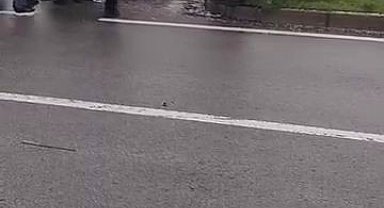 Diyarbakır'da trafik kazası: Araç refüje çarparak durabildi