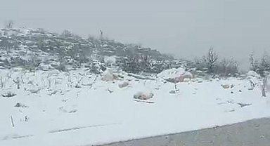 Diyarbakır'ın iki ilçesinde kar yağışı