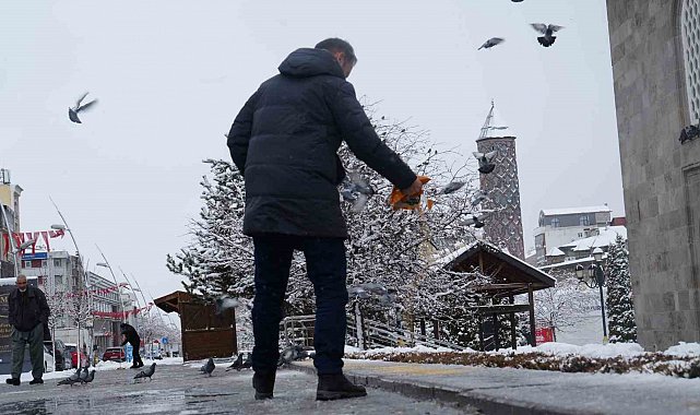 Doğu'da kar yağışı devam ediyor