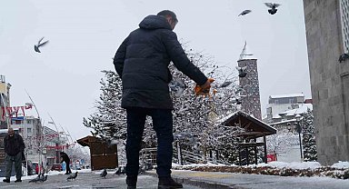Doğu'da kar yağışı devam ediyor