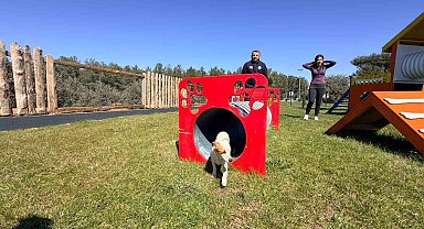 Duacı Mahallesi'nde Pati Park hizmet açıldı