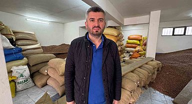 Düşmeye devam eden fındık fiyatını yeni sezon rekoltesi belirleyecek