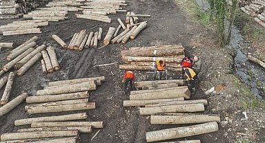 Düzce'den bin 909 ton orman ürünü ihraç edildi