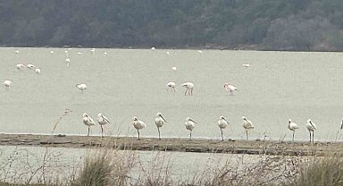 Eceabat Kaymakamı Kerem Yenigün'den Suvla Bölgesinde Doğa İncelemesi