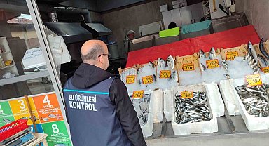 Edirne'de su ürünleri denetimleri sürüyor