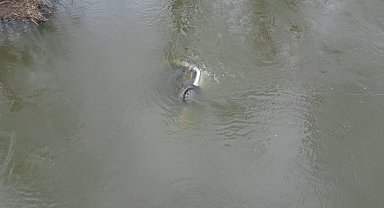 Edirne'de taşkında nehre düşen otomobil 1 ay sonra bulundu