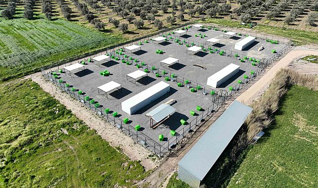 Edremit'te can dostlar için doğal yaşam alanı açılıyor