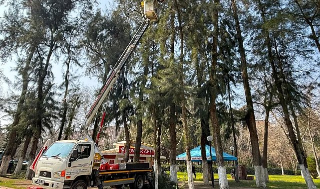 Efeler'de Pınarbaşı Mesire Alanı bakıma alındı