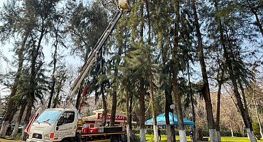 Efeler'de Pınarbaşı Mesire Alanı bakıma alındı