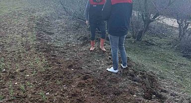 Elazığ'da tarla faresi sürvey çalışması