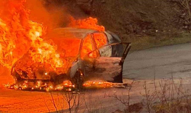 Elazığ'da yanan otomobil küle döndü
