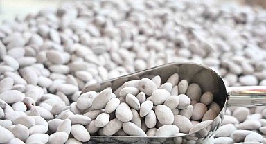 Elazığ'ın 'Beyaz altını' badem şekeri