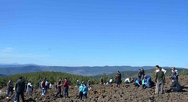 Emet'te zeytin fidanları toprakla buluştu