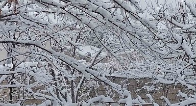 Erciş'te mart ayında kar yağışı