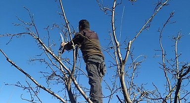 Erzincan çiftçisine 'budama' uyarısı