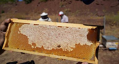 Erzincan Geven Balı coğrafi işaret tescili aldı