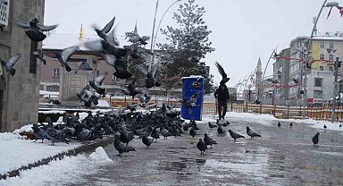 Erzurum'a kar geri geliyor