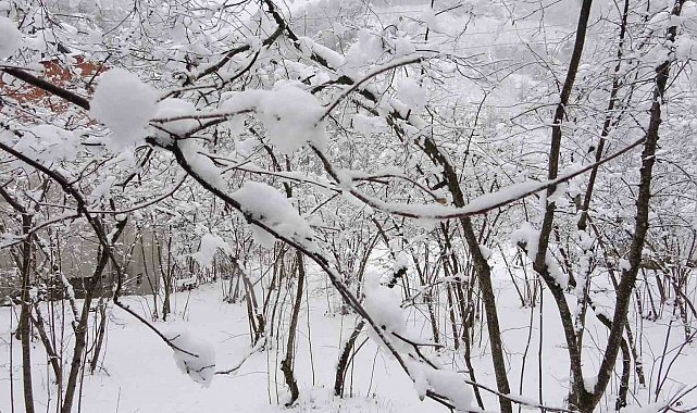 Fındıkta don endişesine bilimsel açıklama: "Şu an risk yok, fayda var"