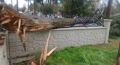 Fırtına Tavas'ta hayatı felç etti