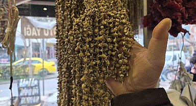 Fiyatıyla dikkat çeken kurutulmuş bamya 3 bin 500 TL'ye satılıyor